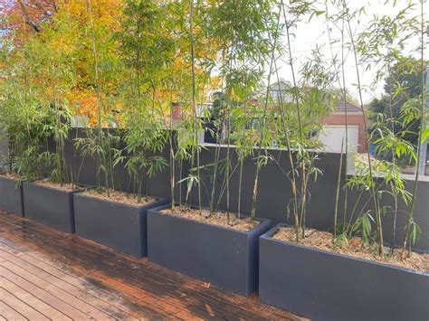 bamboo planter boxes for sale square wooden metal|planter boxes for outdoor bamboo.